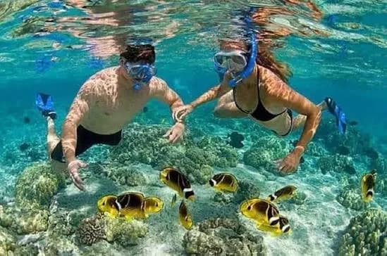 Two snorkelers swimming over coral and tropical fish