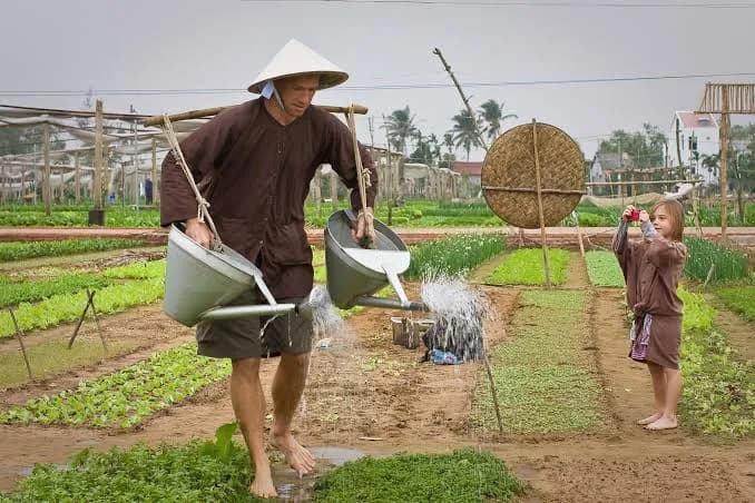 Farmer in a conical hat watering vegetable beds in Tra Que village